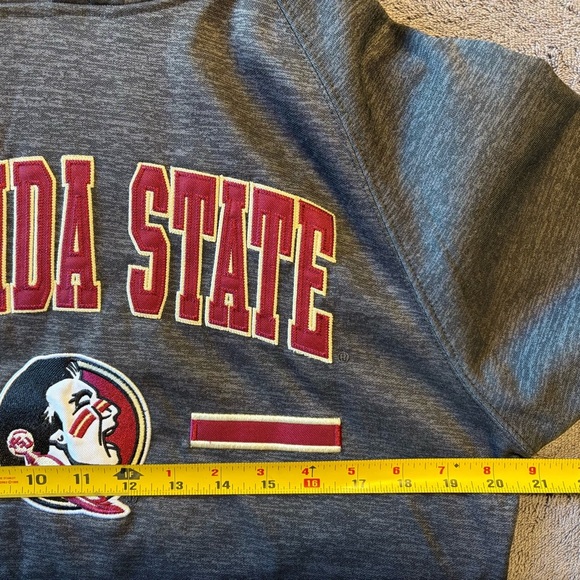 Florida State Seminoles Colosseum Grey Hoodie Men S - Picture 5 of 5